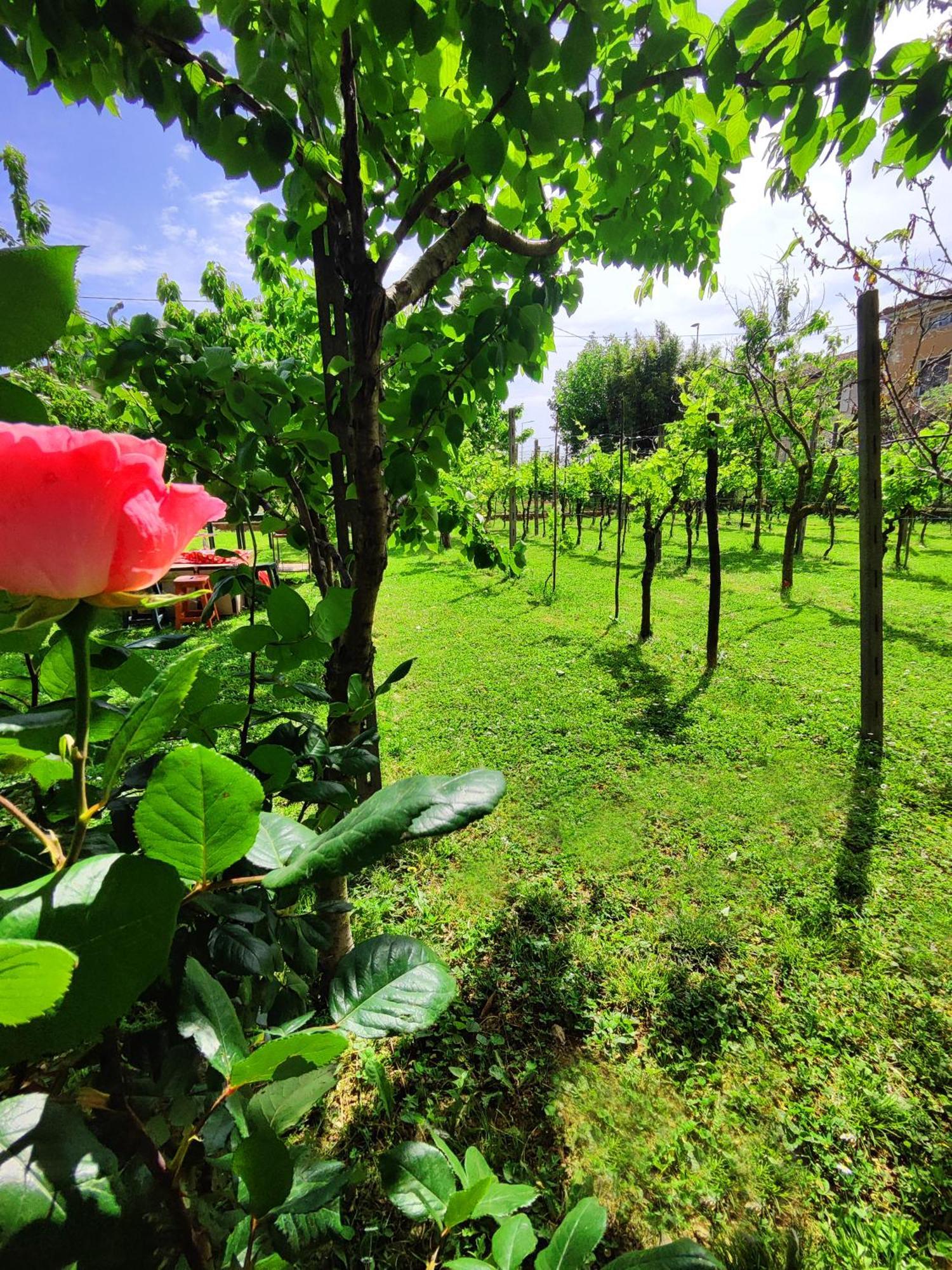 Bed and Breakfast Garda Relais Antica Romelia Montichiari Exterior foto